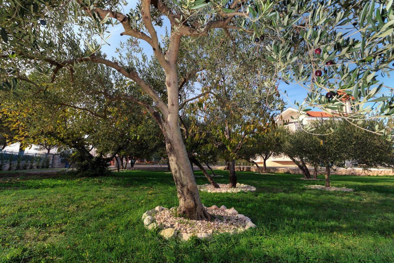 Villa Dream Srima Esterno foto